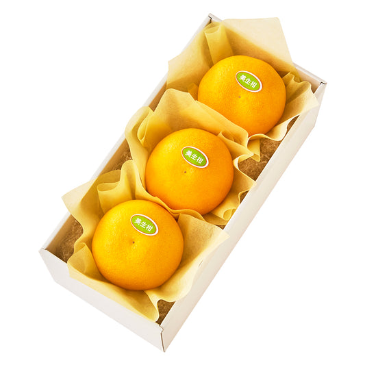 新宿高野 美生柑3入 #29100