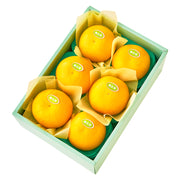 新宿高野 美生柑6入 #29100