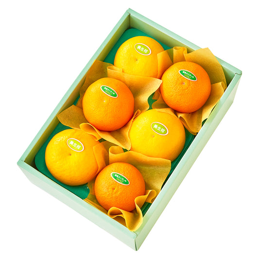 新宿高野 美生柑＆清見オレンジ6入 #29100