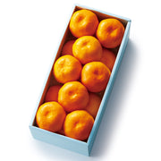 新宿高野 みかんS #12447