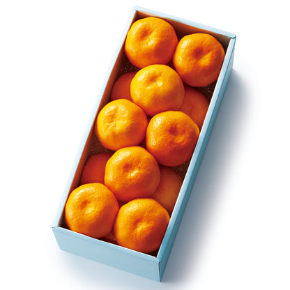 新宿高野 みかんS #12447