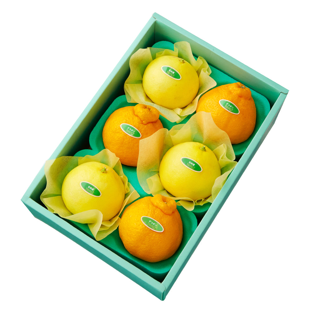 新宿高野 日向夏＆旬果A #29100