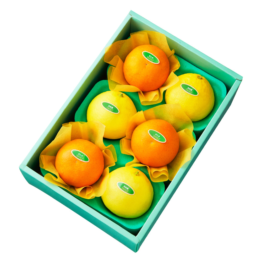 新宿高野 せとか＆旬果B – 新宿高野オンラインショップ