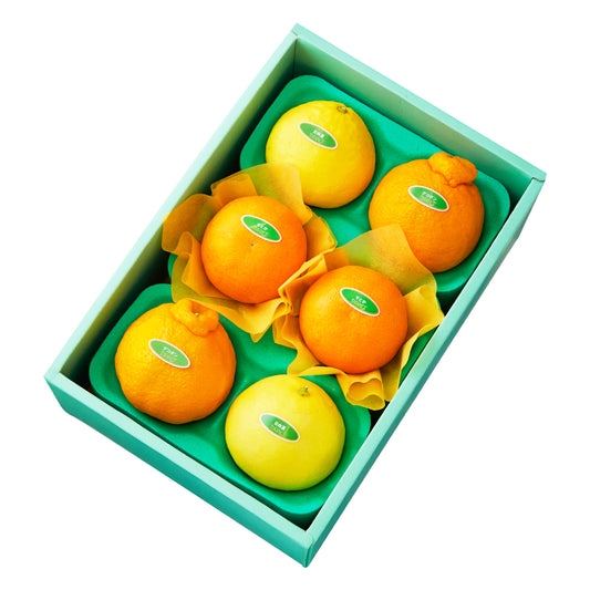 新宿高野 せとか＆旬果D #29100