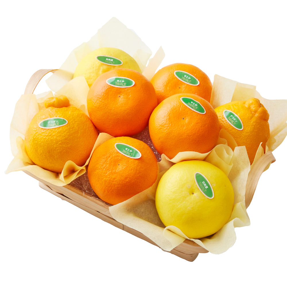 新宿高野 フルーツバラエティーUW #29100