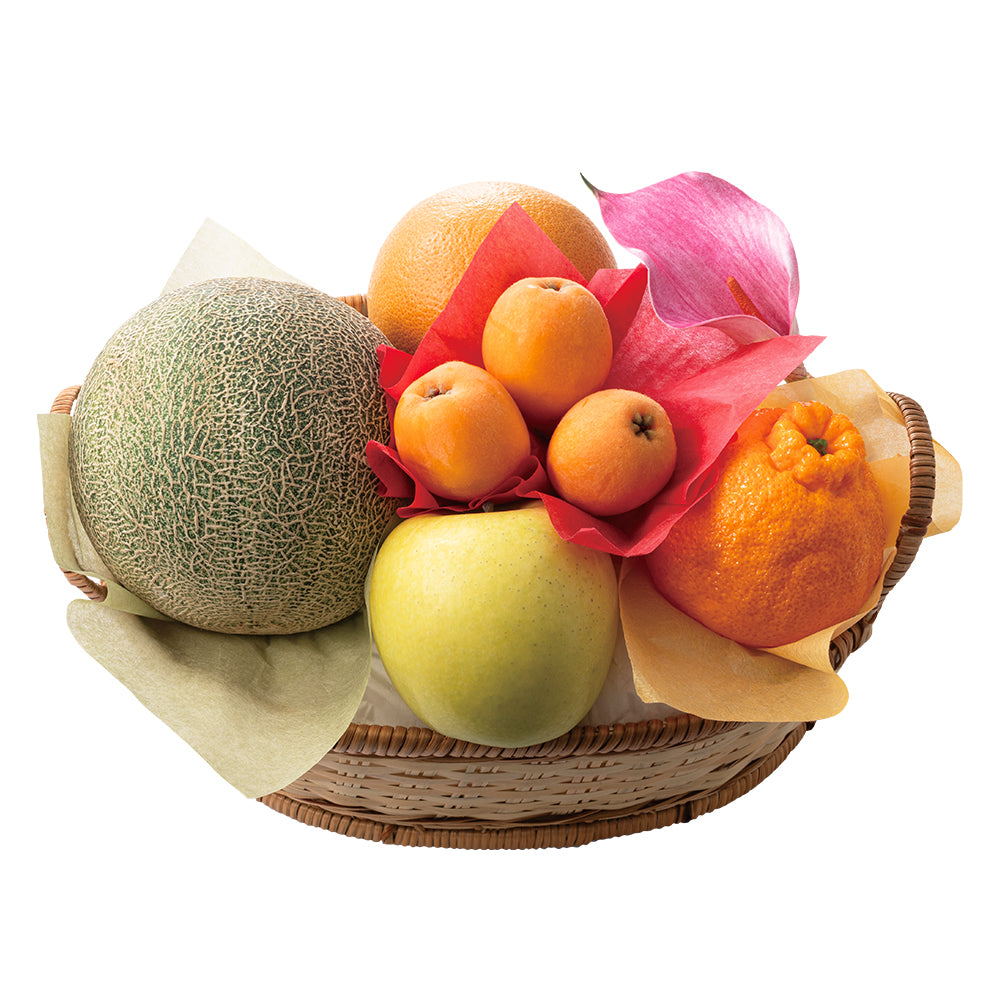 新宿高野 母の日 フルーツバラエティーD #93507