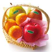 新宿高野 カジュアルギフトA #23375