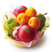 新宿高野 カジュアルギフトB #23382