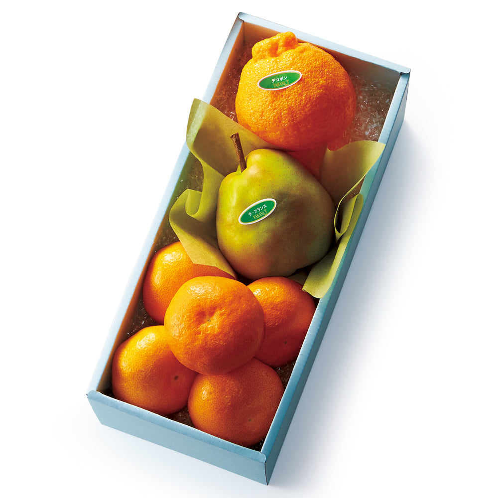 新宿高野 フルーツトリオS #23412