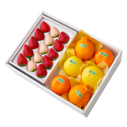 新宿高野 紅白いちご＆旬果C #29100