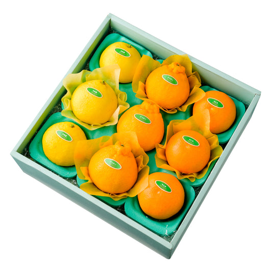 新宿高野 せとか＆旬果E #29100