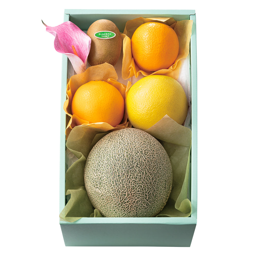 新宿高野 母の日 メロン＆フルーツ #94030