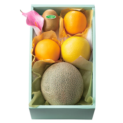 新宿高野 母の日 メロン＆フルーツ #94030