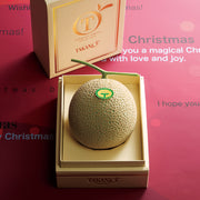 新宿高野 クリスマスマスクメロン #94764