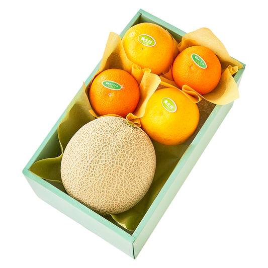 新宿高野 メロンセットA #29100