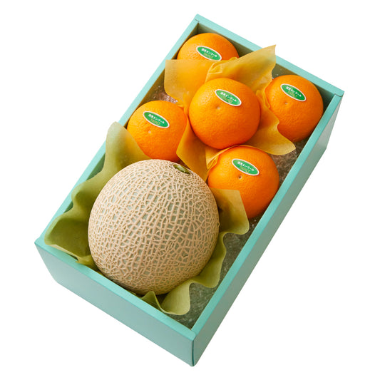 新宿高野 メロンセットB #29100