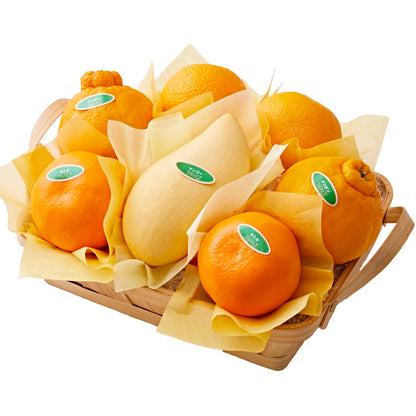 新宿高野 フルーツバラエティーW4 #29100