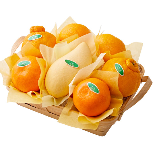 新宿高野 フルーツバラエティーW4 #29100