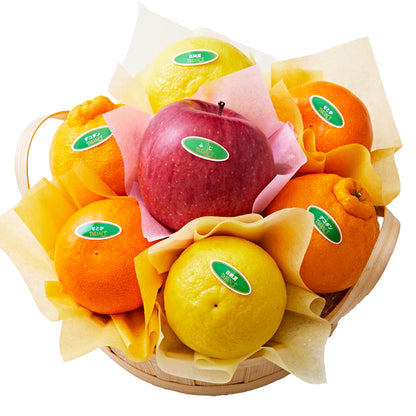 新宿高野 フルーツバラエティーW5 #29100