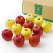 新宿高野 シェアフルーツB #29100