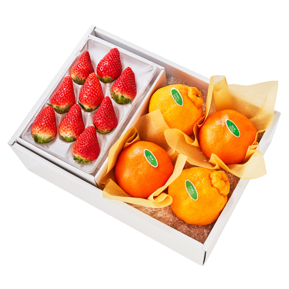 新宿高野 ストロベリー9＆旬果I #29100