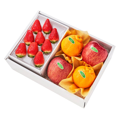 新宿高野 ストロベリー9＆旬果J