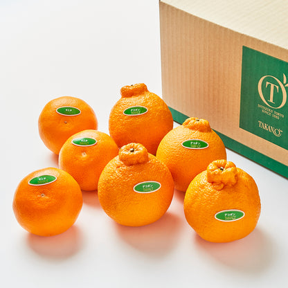 新宿高野 シェアフルーツK #29100