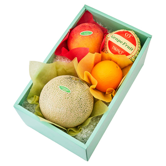 新宿高野 アンデスメロンギフトF #29100