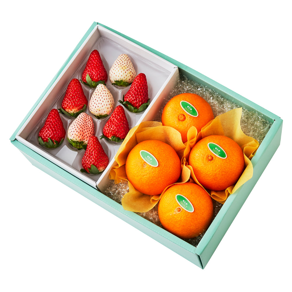 新宿高野 紅白いちご9＆旬果G #29100