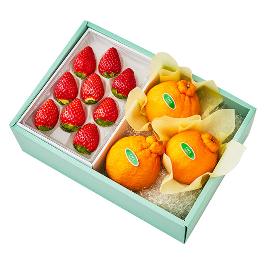 新宿高野 まりひめいちご9＆旬果C #29100