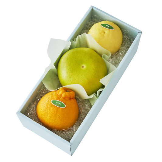 新宿高野 メロゴールド＆旬果E #29100