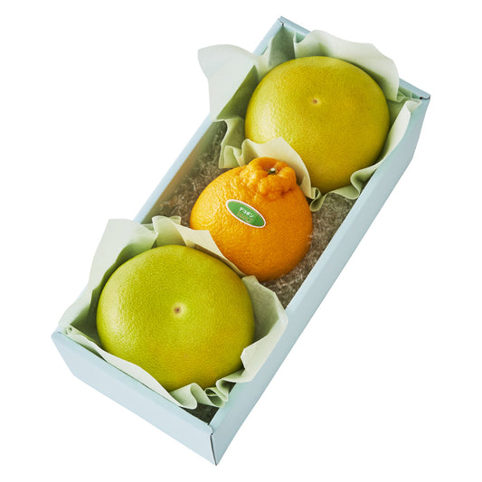 新宿高野 メロゴールド＆旬果F #29100