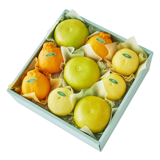 新宿高野 メロゴールド＆旬果K #29100