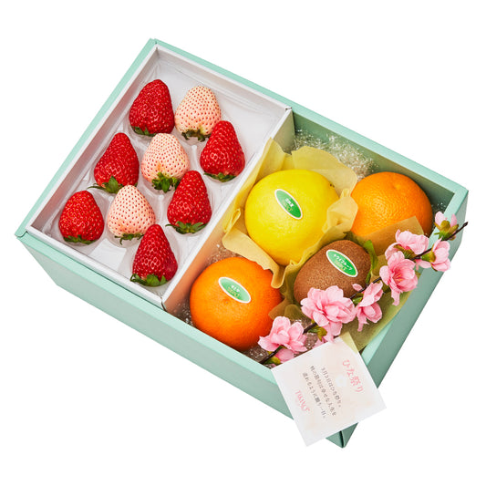 新宿高野 ひな祭りフルーツギフトEB #29100