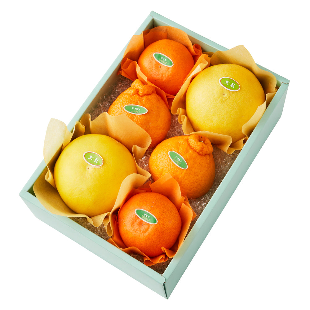 新宿高野 文旦＆旬果EA #29100