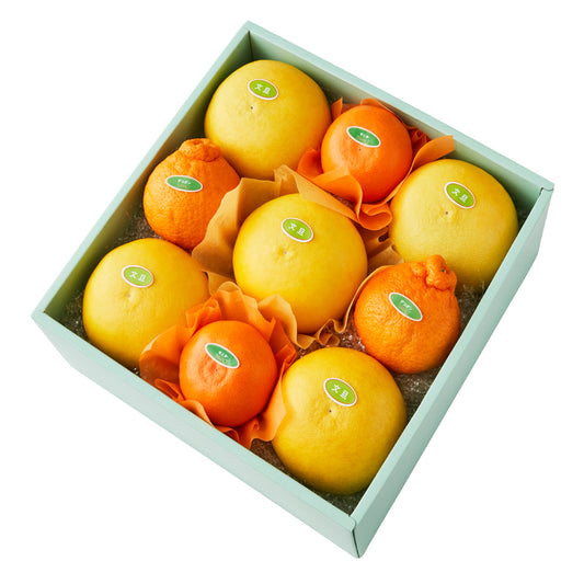 新宿高野 文旦＆旬果EC #29100