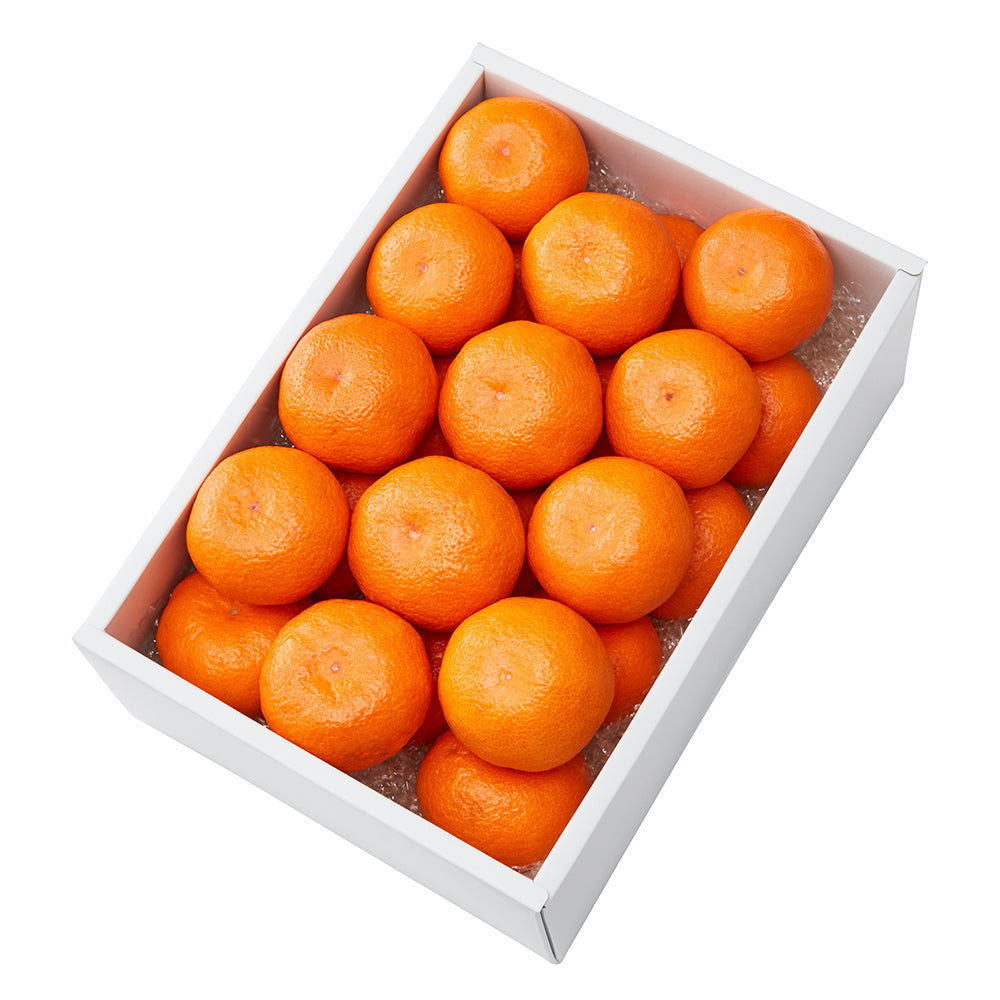 新宿高野 丹生系／葵クラブみかん24入 #29100