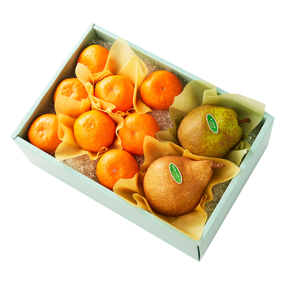 新宿高野 葵クラブみかん＆旬果C – 新宿高野オンラインショップ