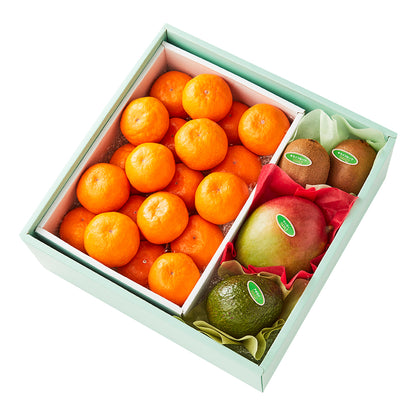 新宿高野 葵クラブみかん＆旬果I #29100