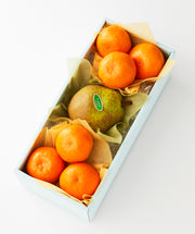 新宿高野 葵クラブみかん＆旬果J #29100