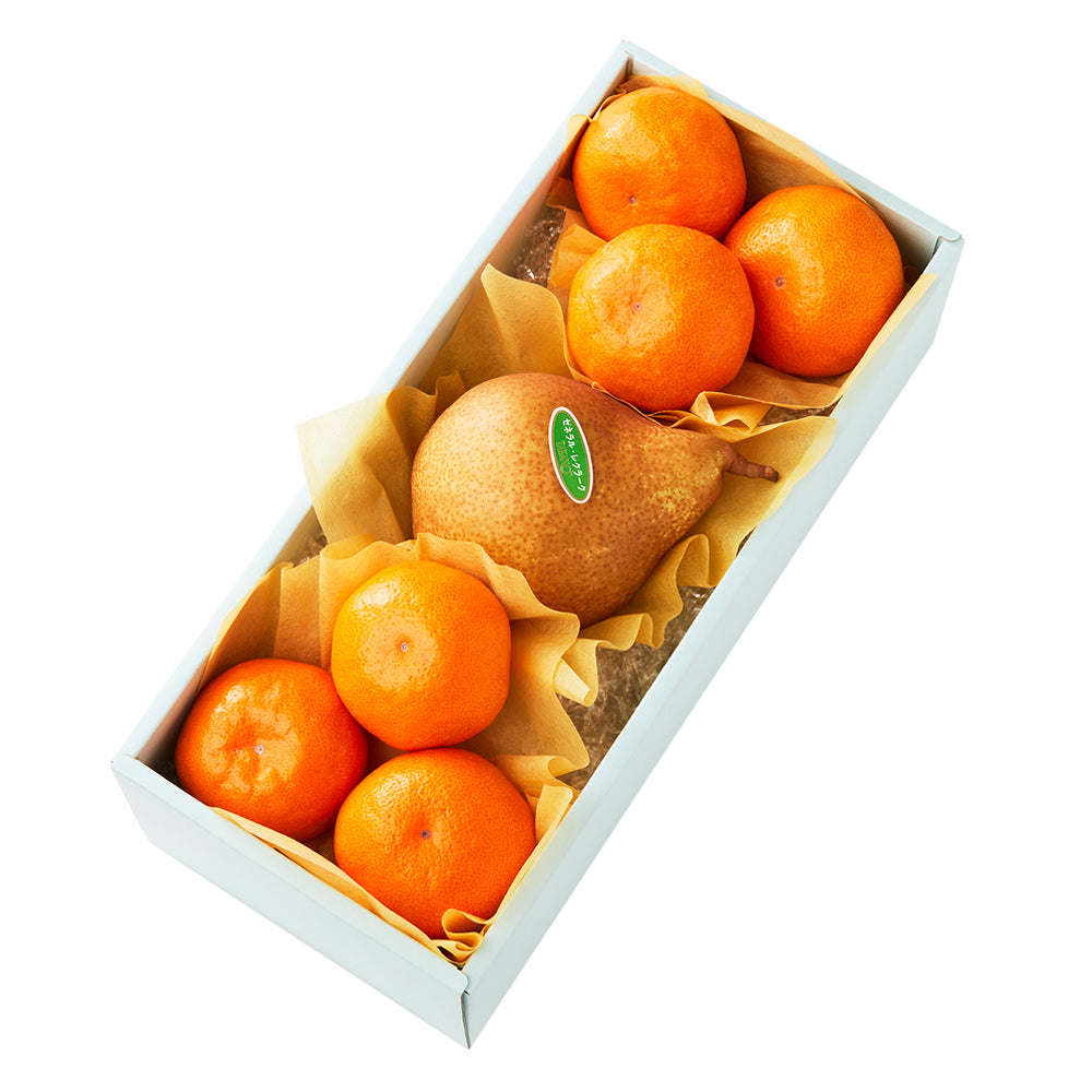 新宿高野 葵クラブみかん＆旬果K – 新宿高野オンラインショップ