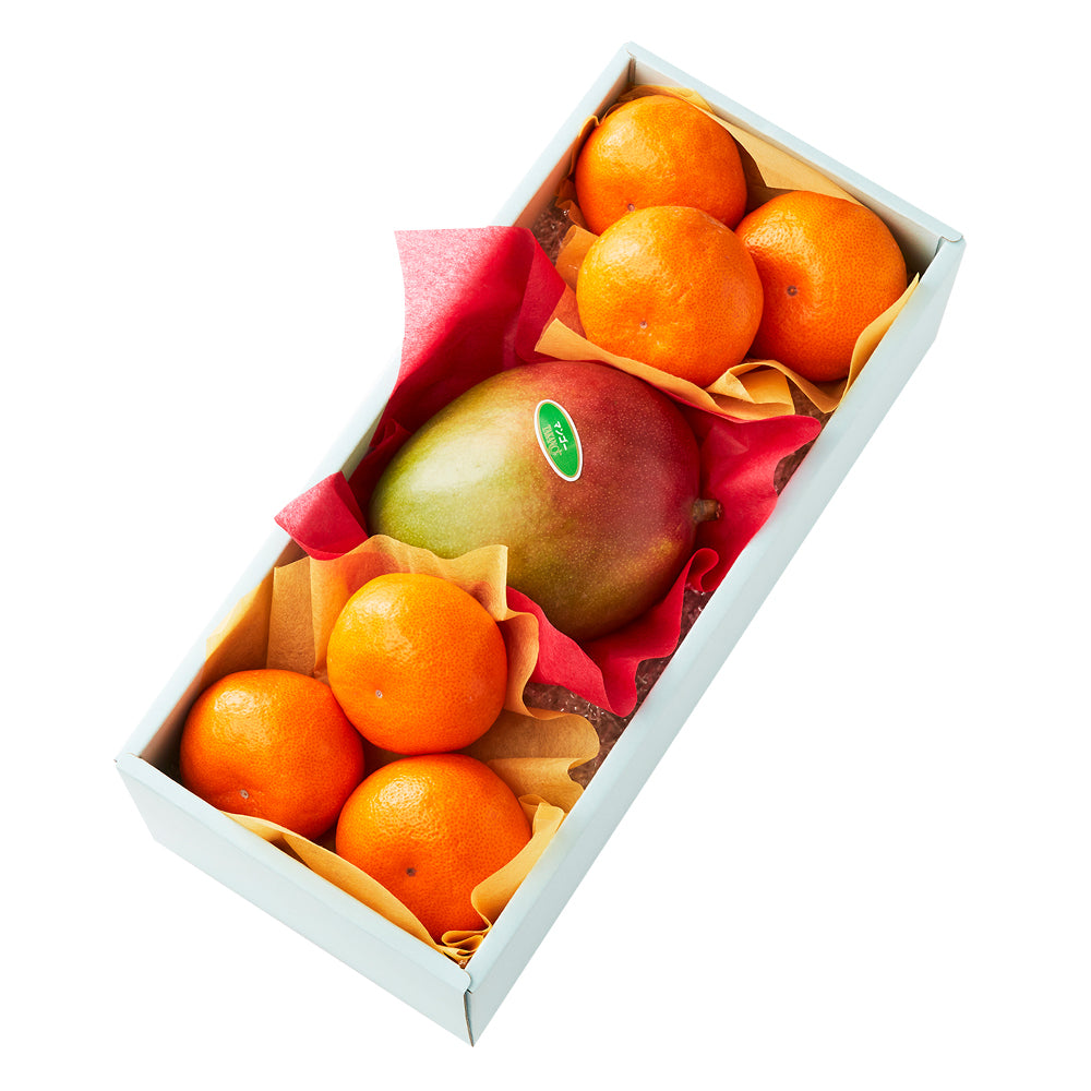 新宿高野 葵クラブみかん＆旬果M #29100