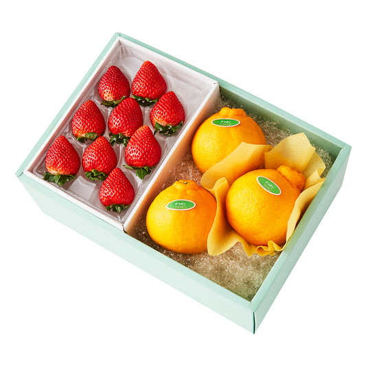 新宿高野 とちあいか苺9＆旬果E #29100