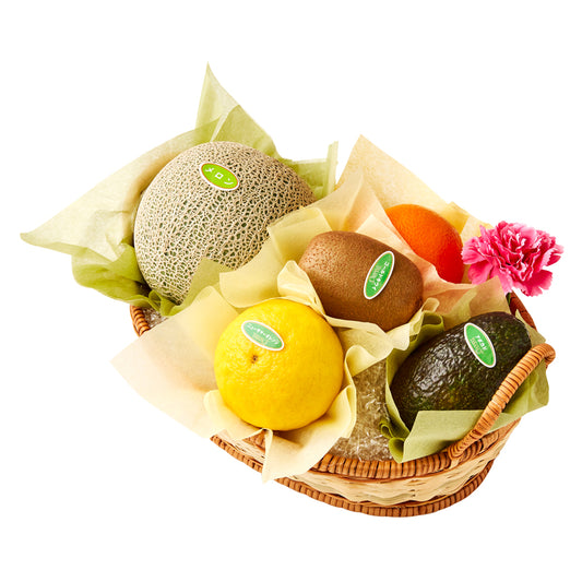 新宿高野 母の日フルーツバスケットH #29100