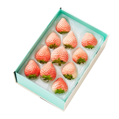 新宿高野 コットンベリーMA #29100