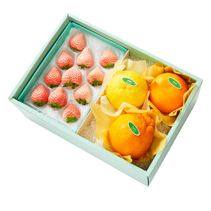 新宿高野 コットンベリーM＆旬果B #29100