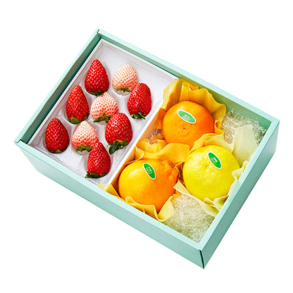 新宿高野 奈良いちご9食べ比べ＆旬果A #29100