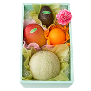 新宿高野 母の日フルーツギフトJ #29100