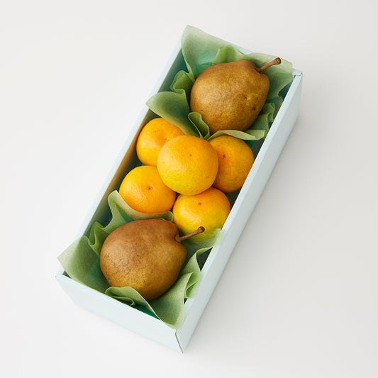 新宿高野 秋なりみかん＆旬果E #29100