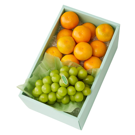 新宿高野 秋なりみかん＆旬果H #29100